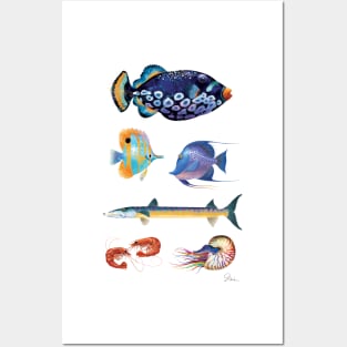 Group of fish with Trigger Fish Posters and Art